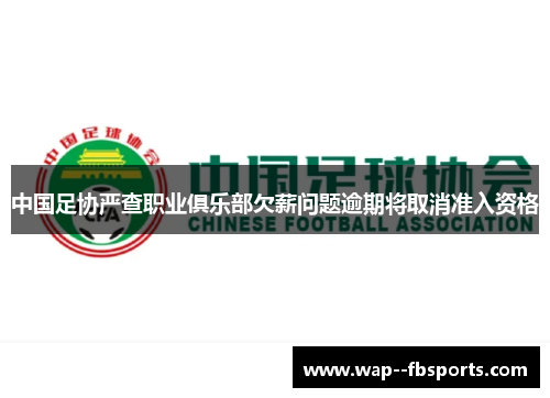 中国足协严查职业俱乐部欠薪问题逾期将取消准入资格